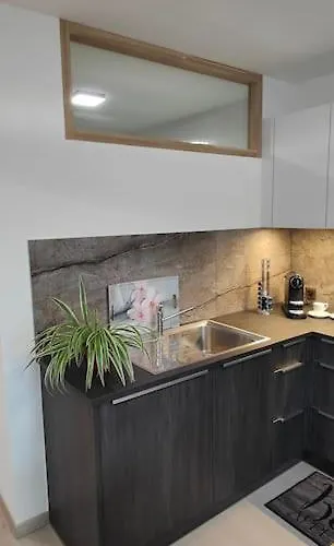 Premium A Salins * シオン