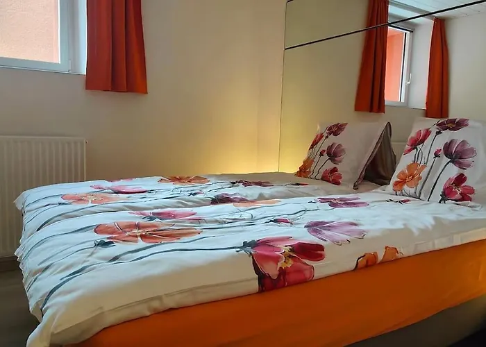 Premium A Salins * シオン