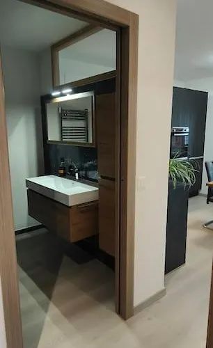 Premium A Salins Διαμέρισμα Σιόν